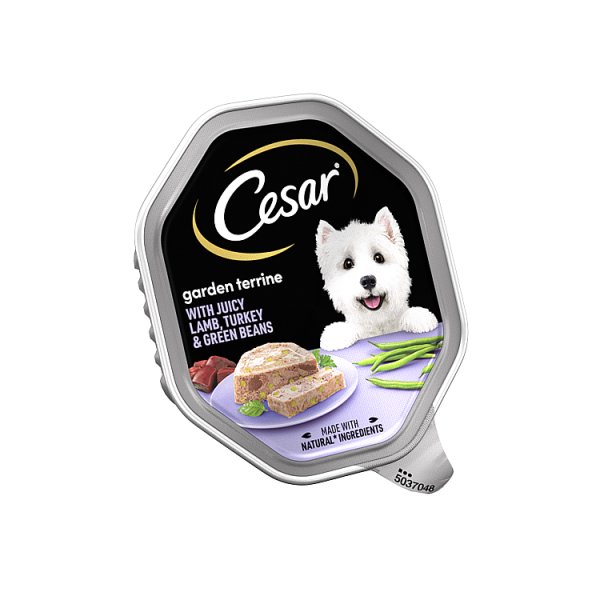 CESAR GARDEN TERRINE JUICY L