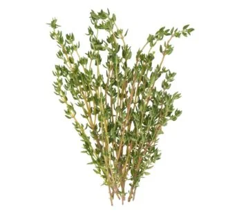 JACKS FRESH CUT THYME