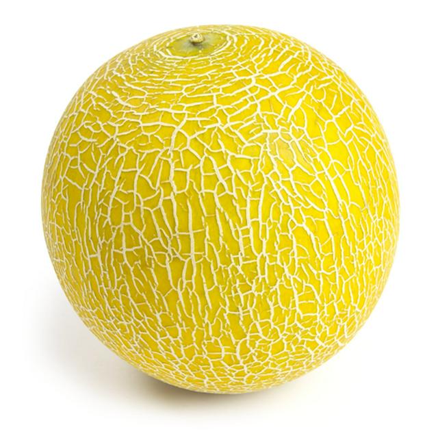MELON-GALIA