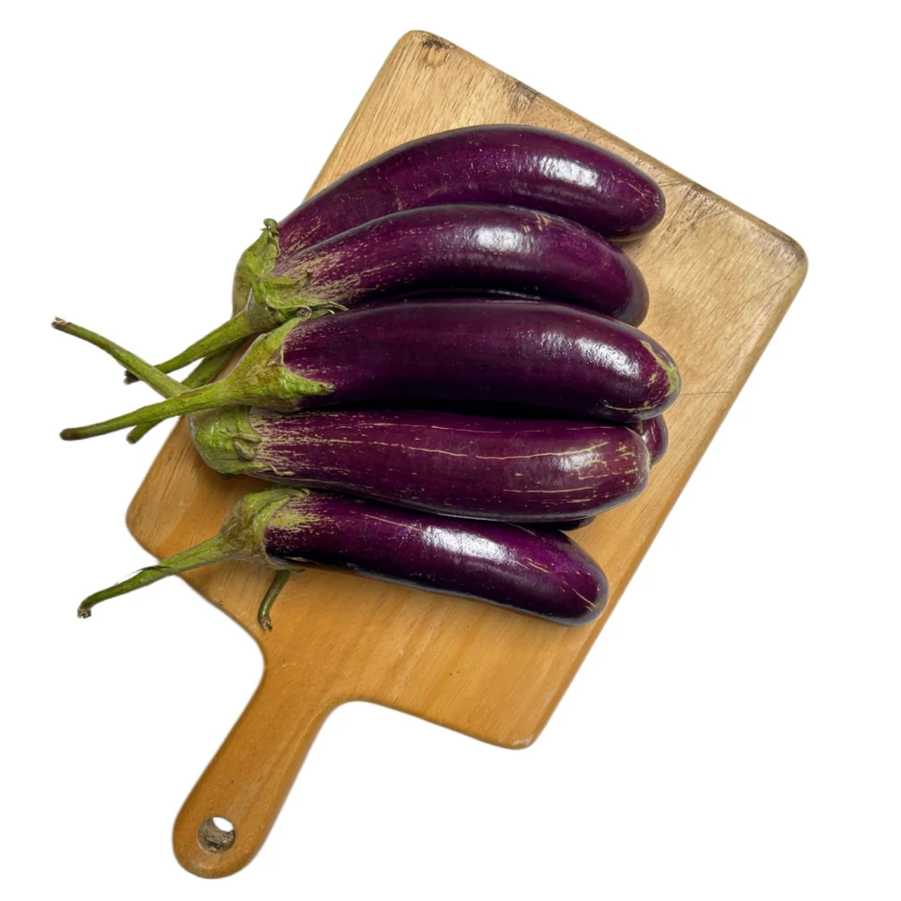 AUBERGINES - DUTCH