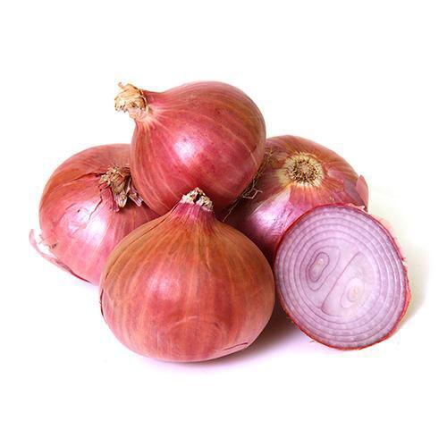 ONIONS-PINK/BOMBAY/MAROC